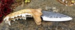 Coyote jaw knife
