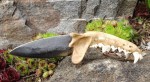 Coyote jaw knife